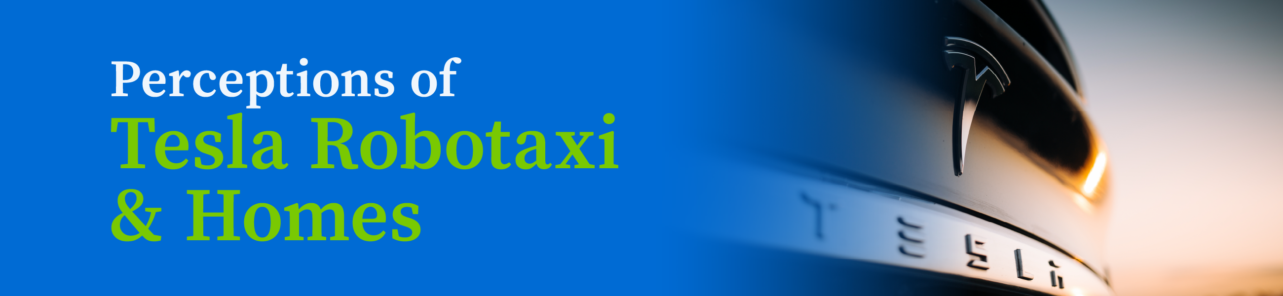 Perception of Tesla Robotaxi & Homes Header